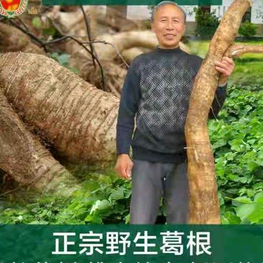 抚州斌泉葛根
