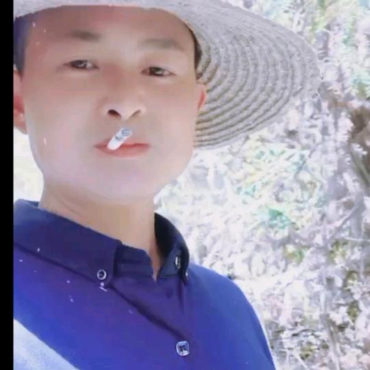 桑植白石