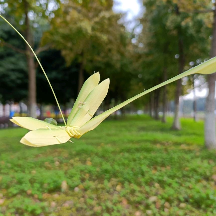 草精灵非遗工坊企业店