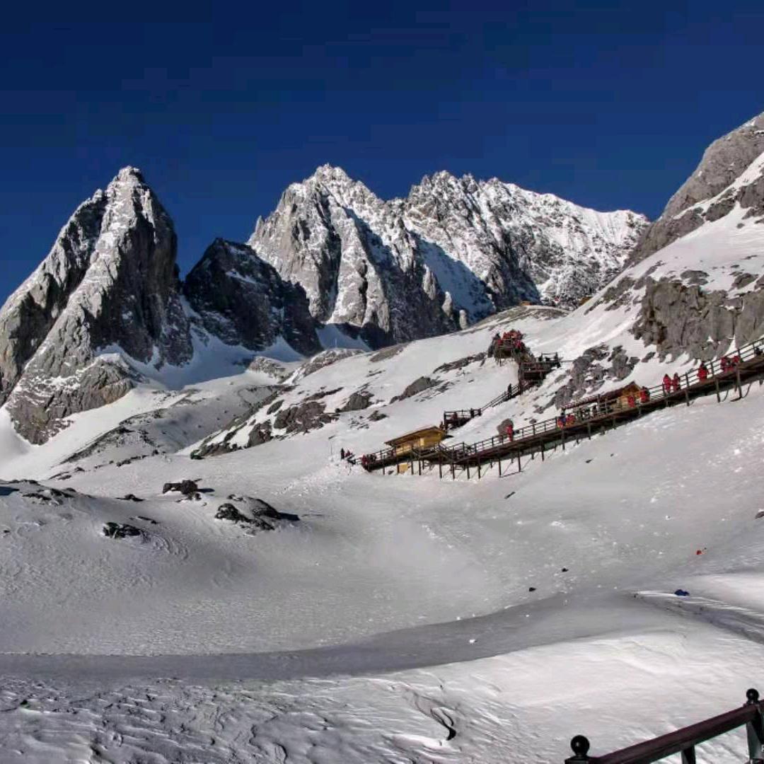 雪域雄鹰