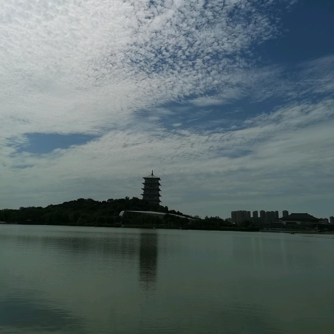 椿樱故里