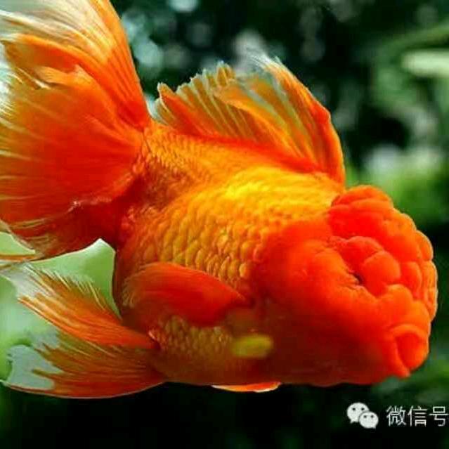 葡萄姐🍇