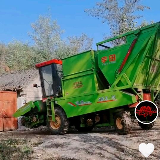 皈依我佛，大彻大悟！