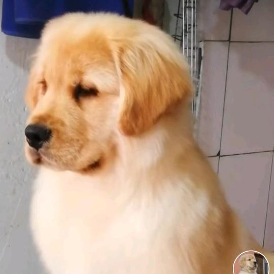 笑傲