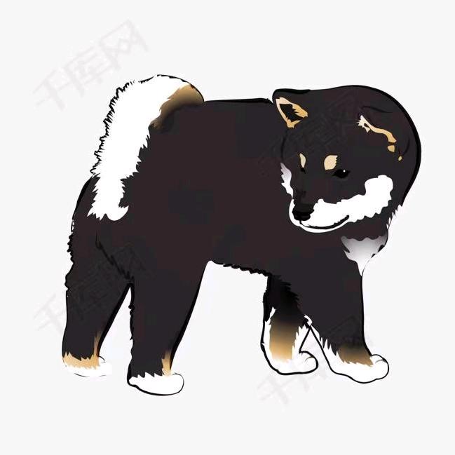 倾宠缘认证犬舍