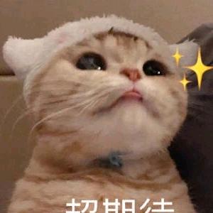 梦屿