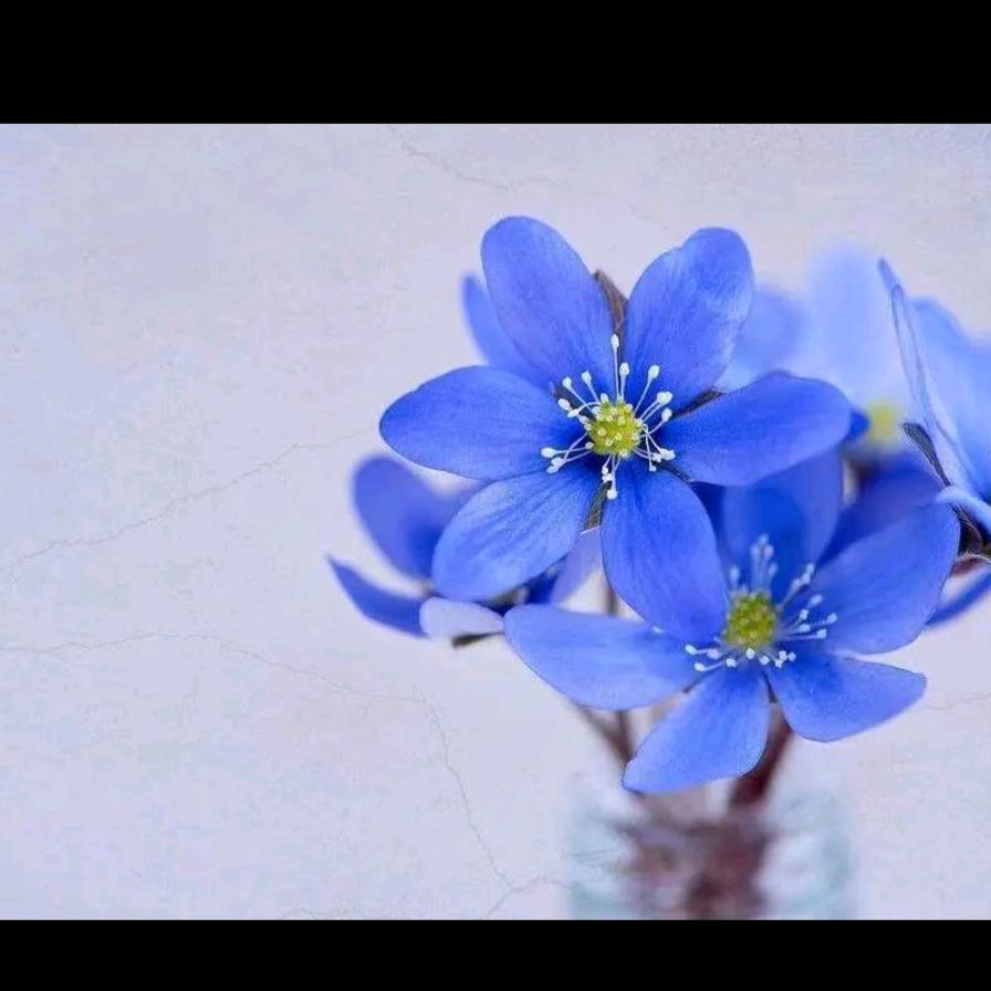 雨过天晴.