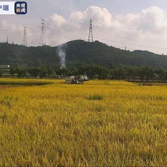 岚图梦想家商务出行