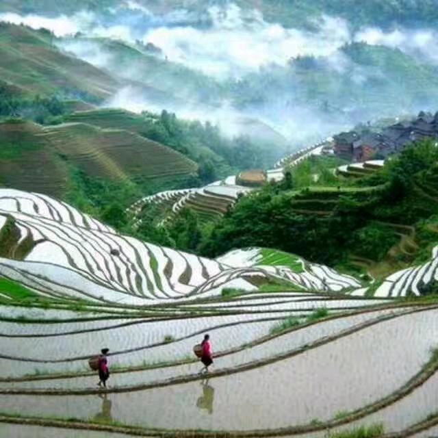 阳 光