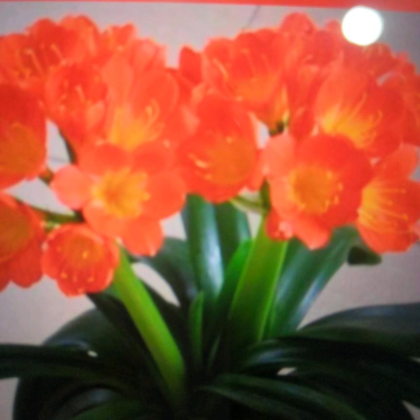 初遇在雨天