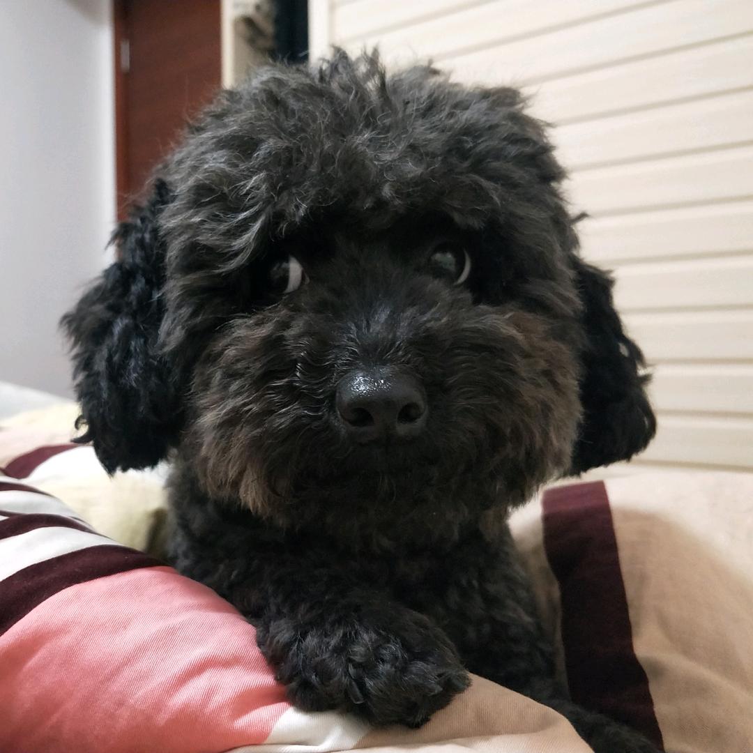 宠爱有加