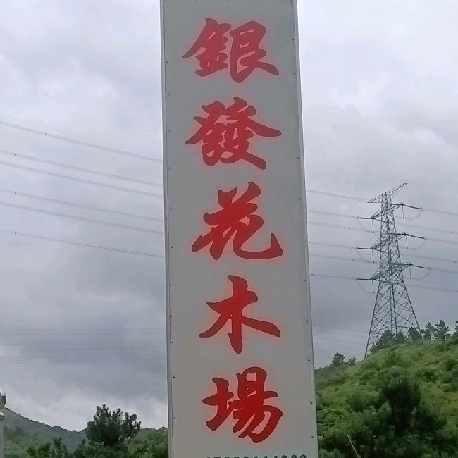 普宁市银发园艺