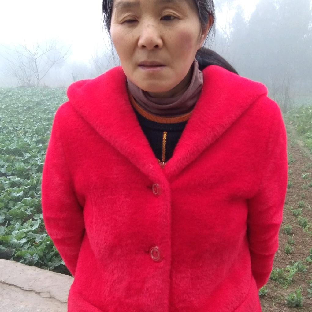 周东碧1·
