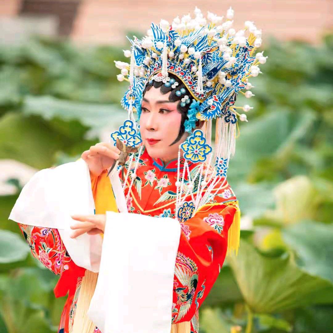 大连三姨【涛哥】