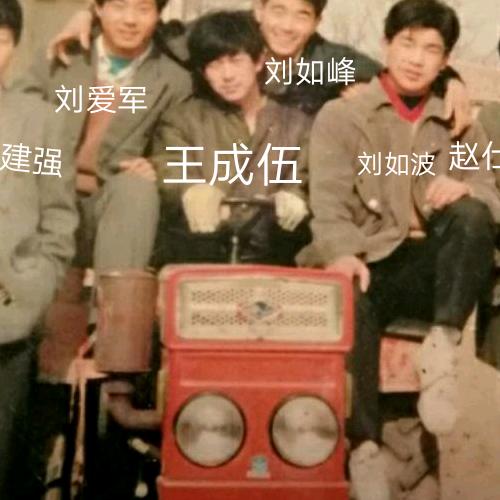 诚信友善