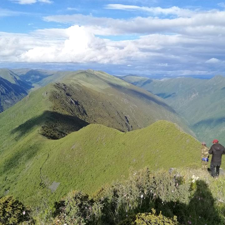 中国松茸之乡。雪域男孩