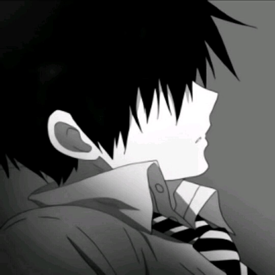 哈尔滨醉猫𐂂换哔哩和快守直播，都这名字