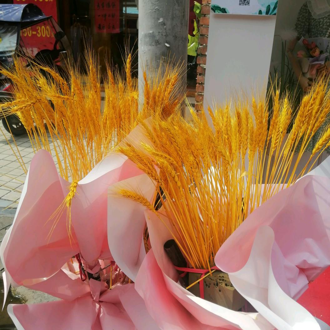为明天而努力