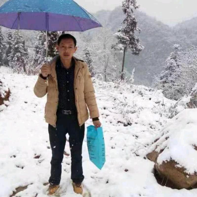 青山渌水