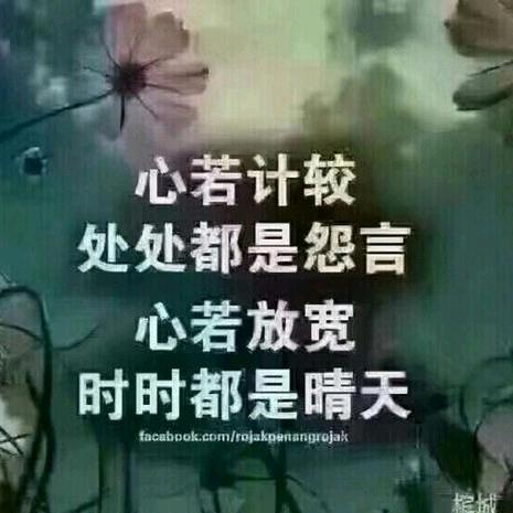 清心❤️