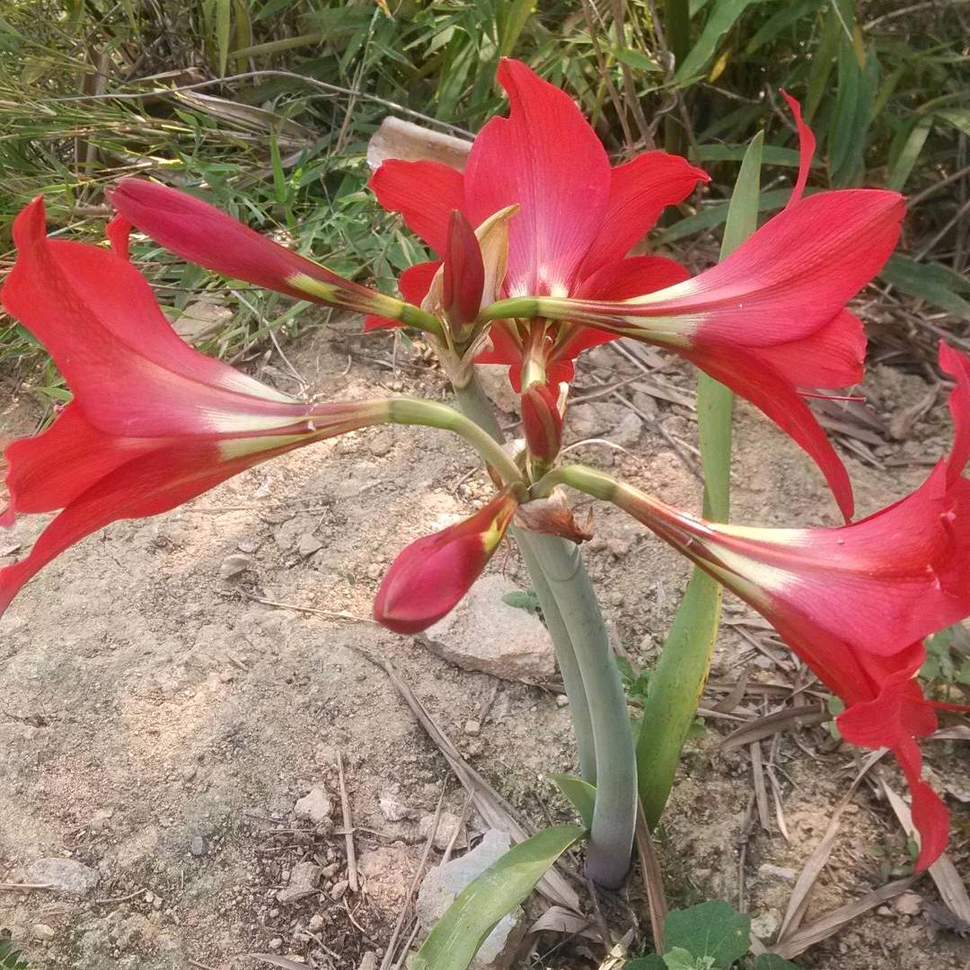 改造居住环境（温）