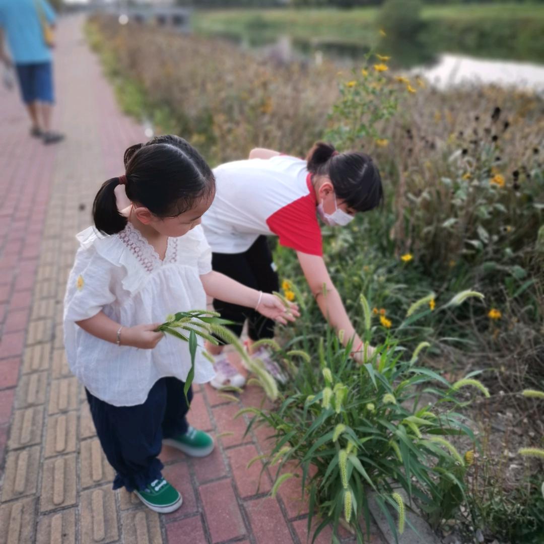 我是周阿姨