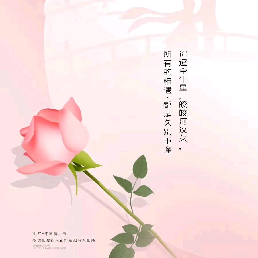 伤了  板牙
