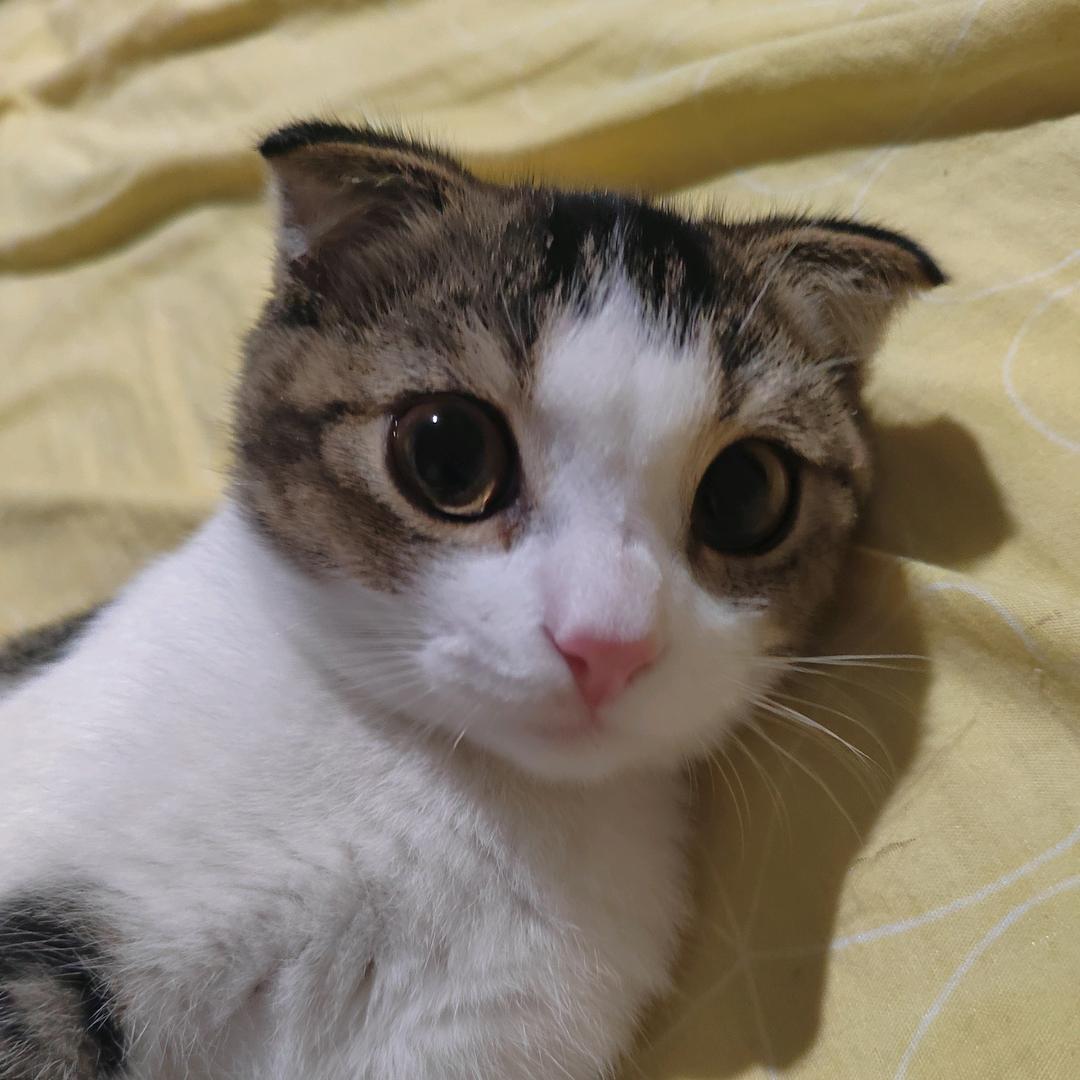 我远哥！