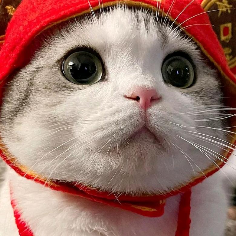 亿轩钢构