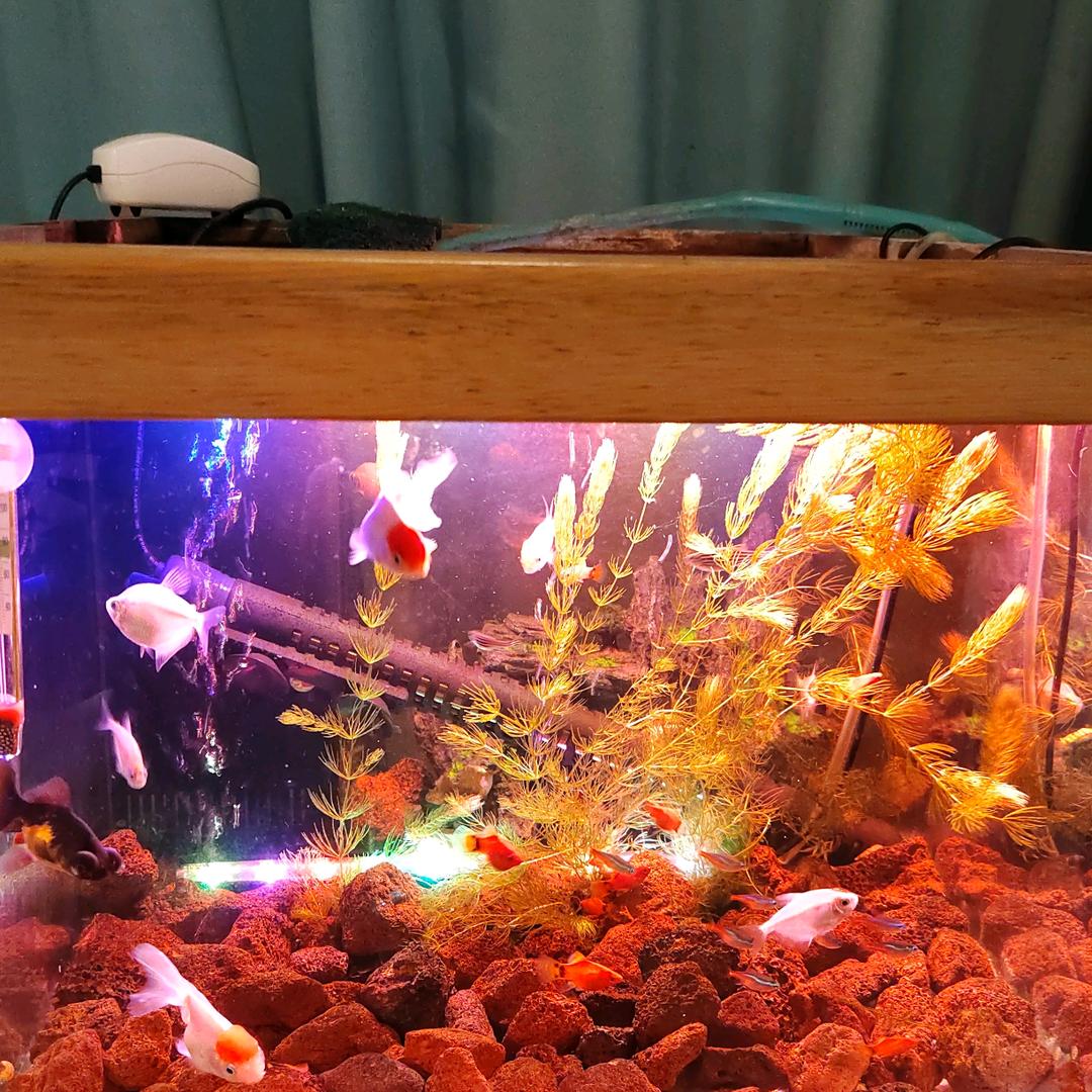 独闯风云。
