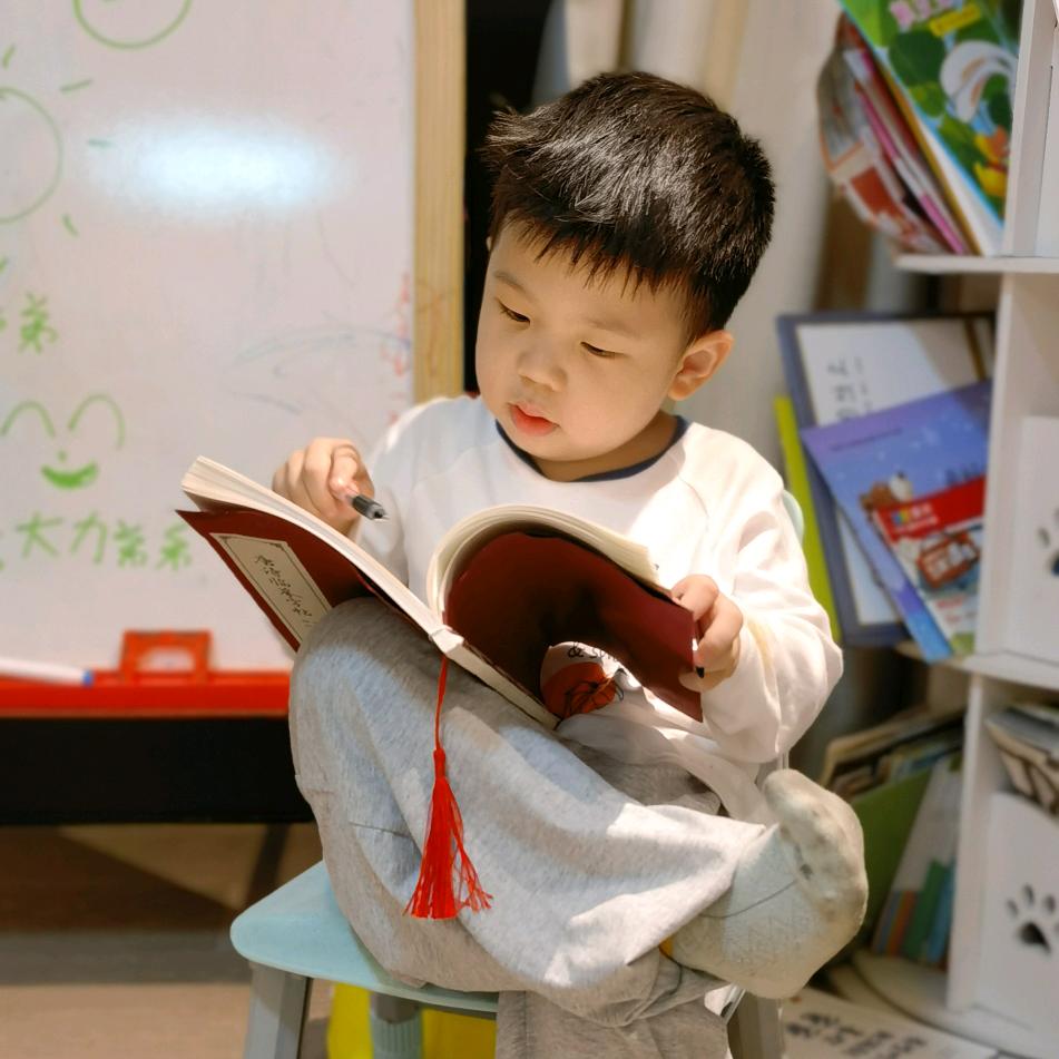 大力游中国