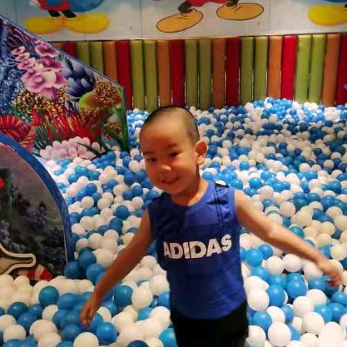 不老的小龙