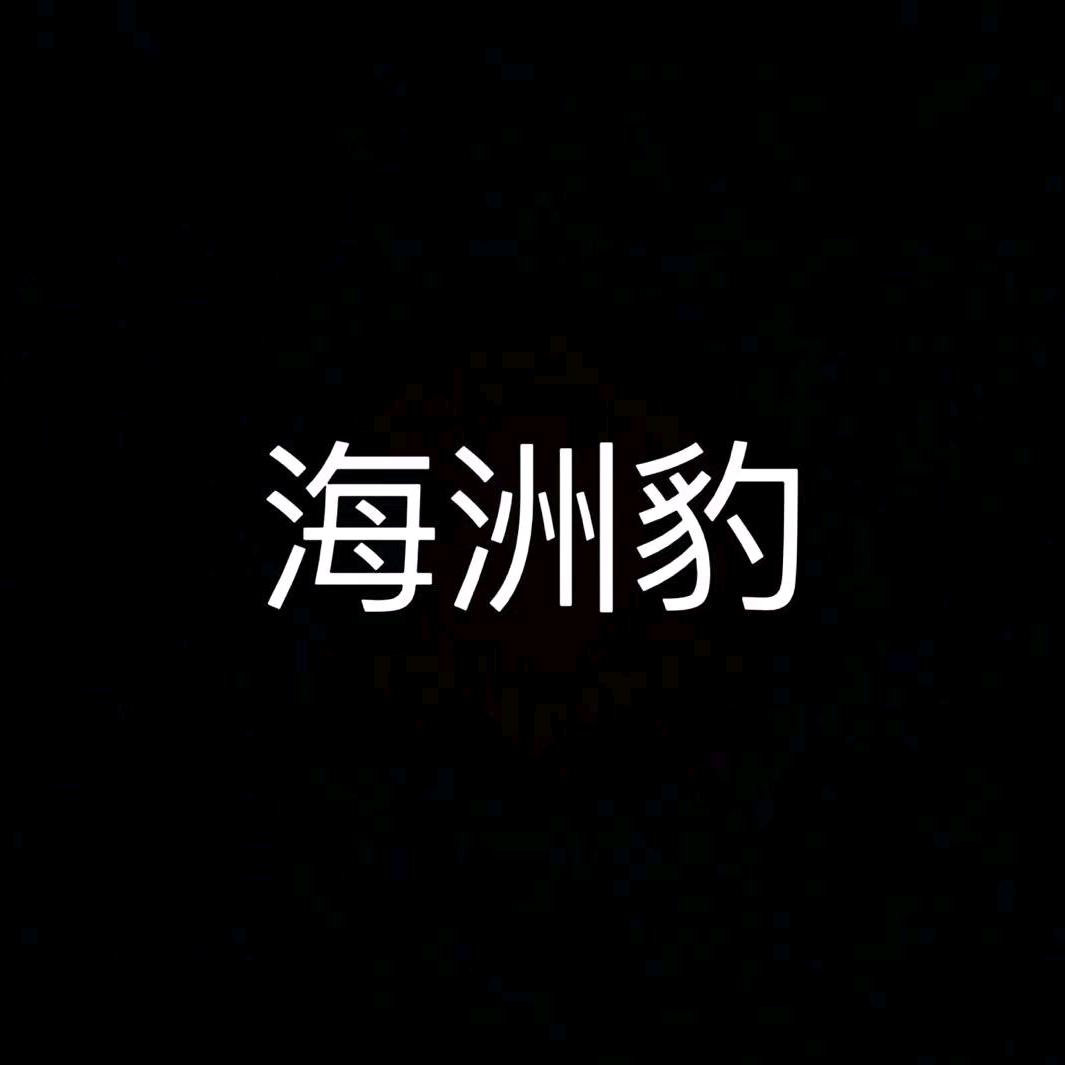 海宁海洲豹轻奢机车