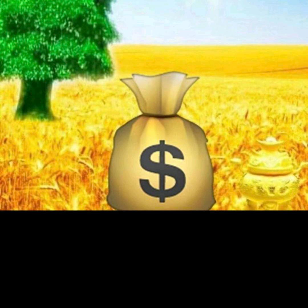 晨升铝合金门窗
