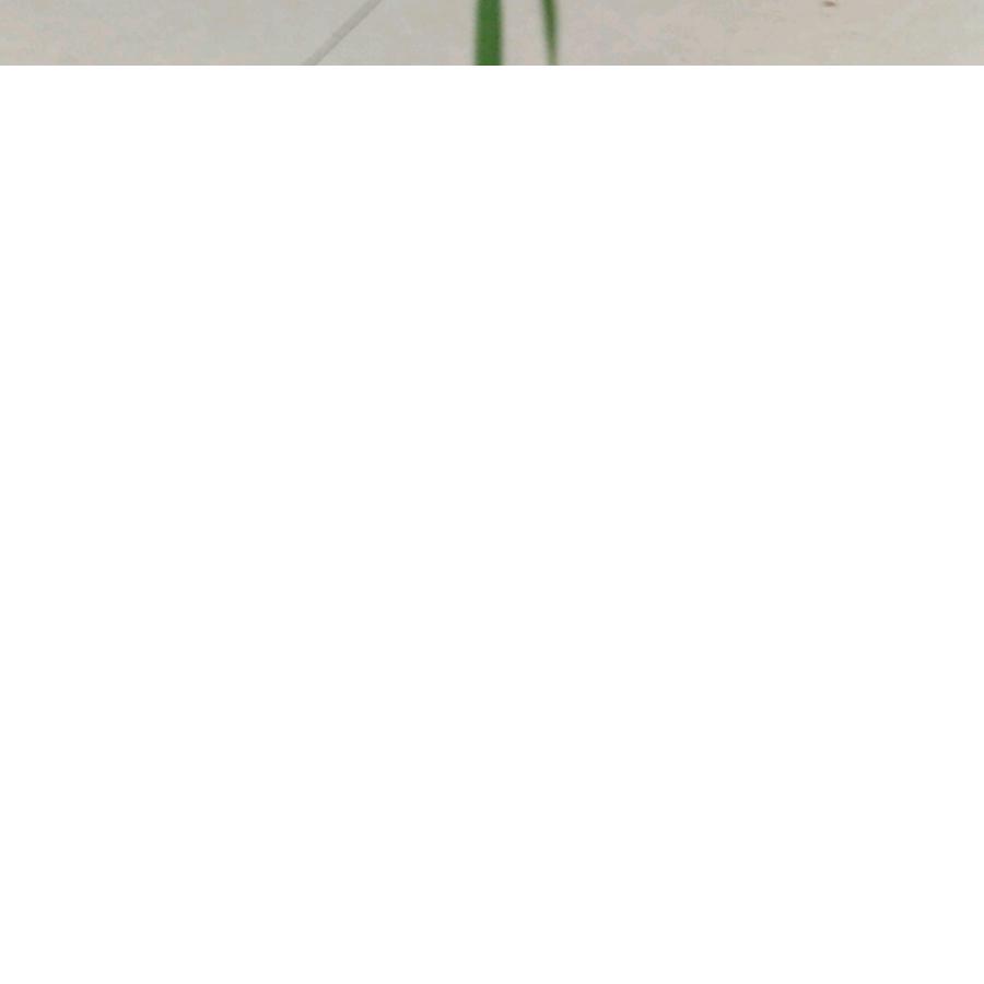 漫步