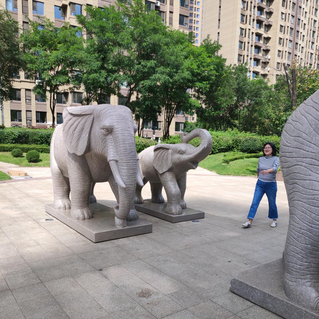 快乐夕阳💐💐💐