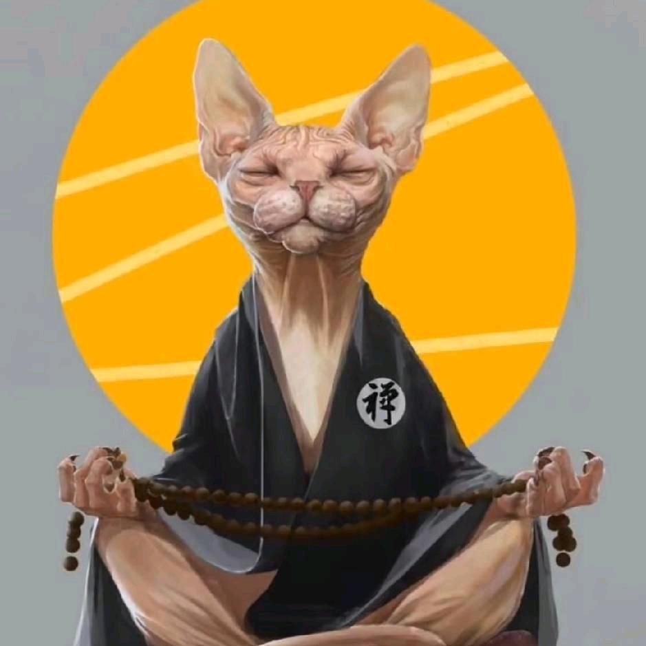 打小就浪🐺