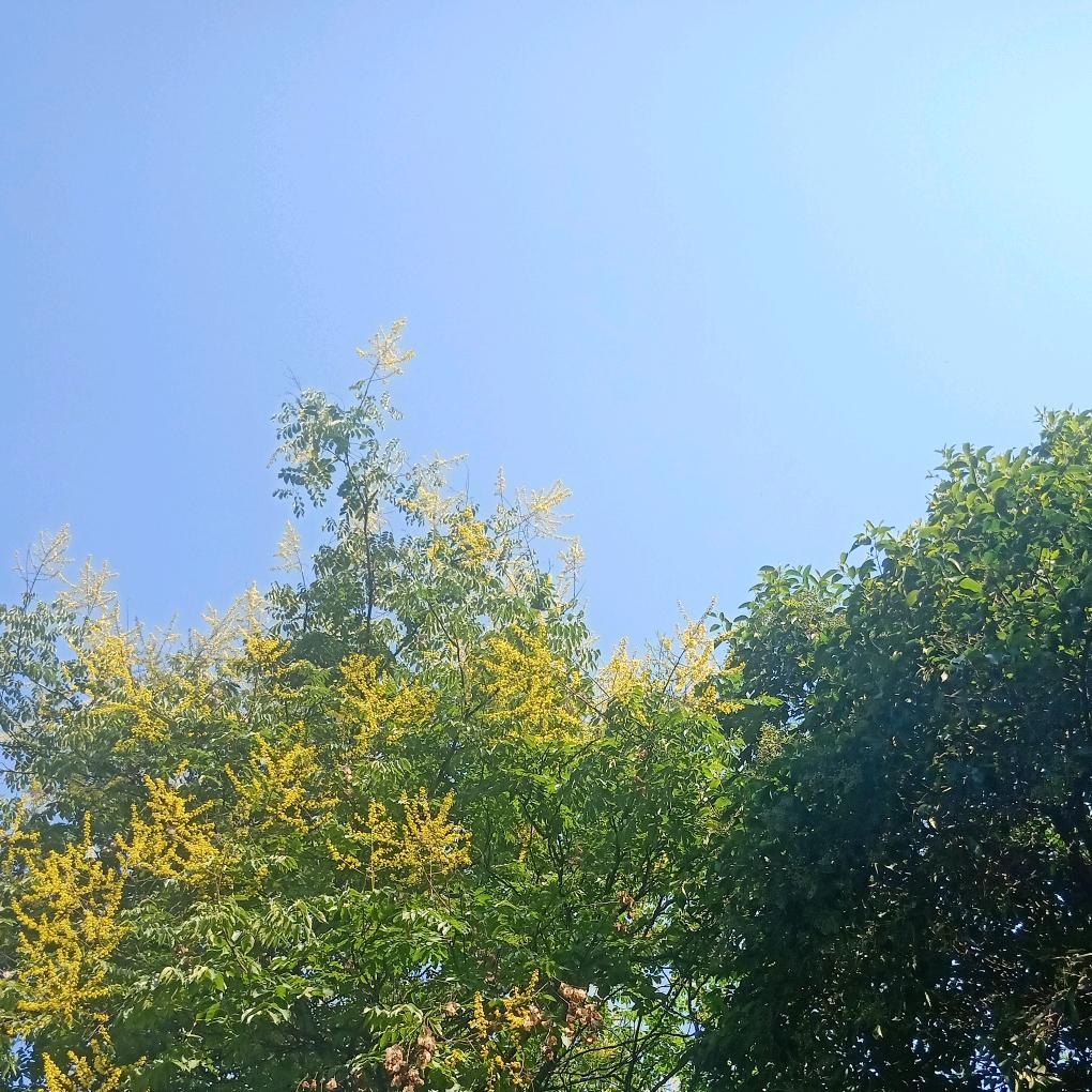 风淡云轻