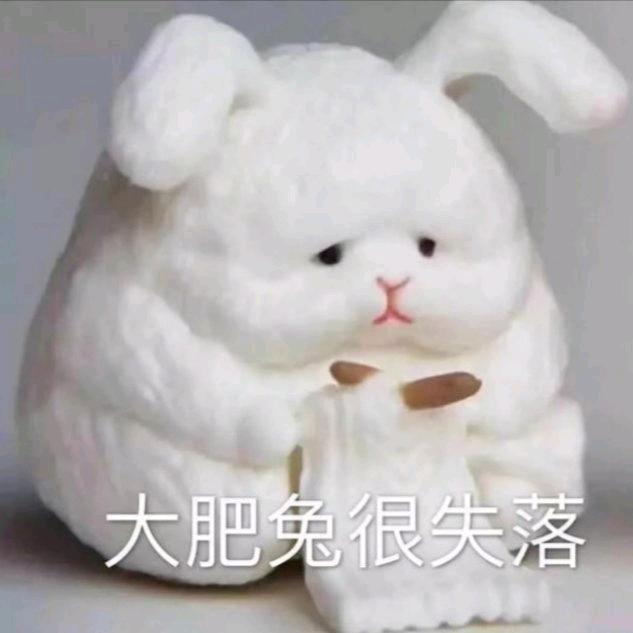 阿青君和小白