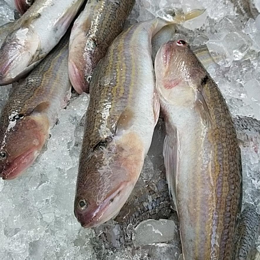 惠来县东陇镇方永珍食品店