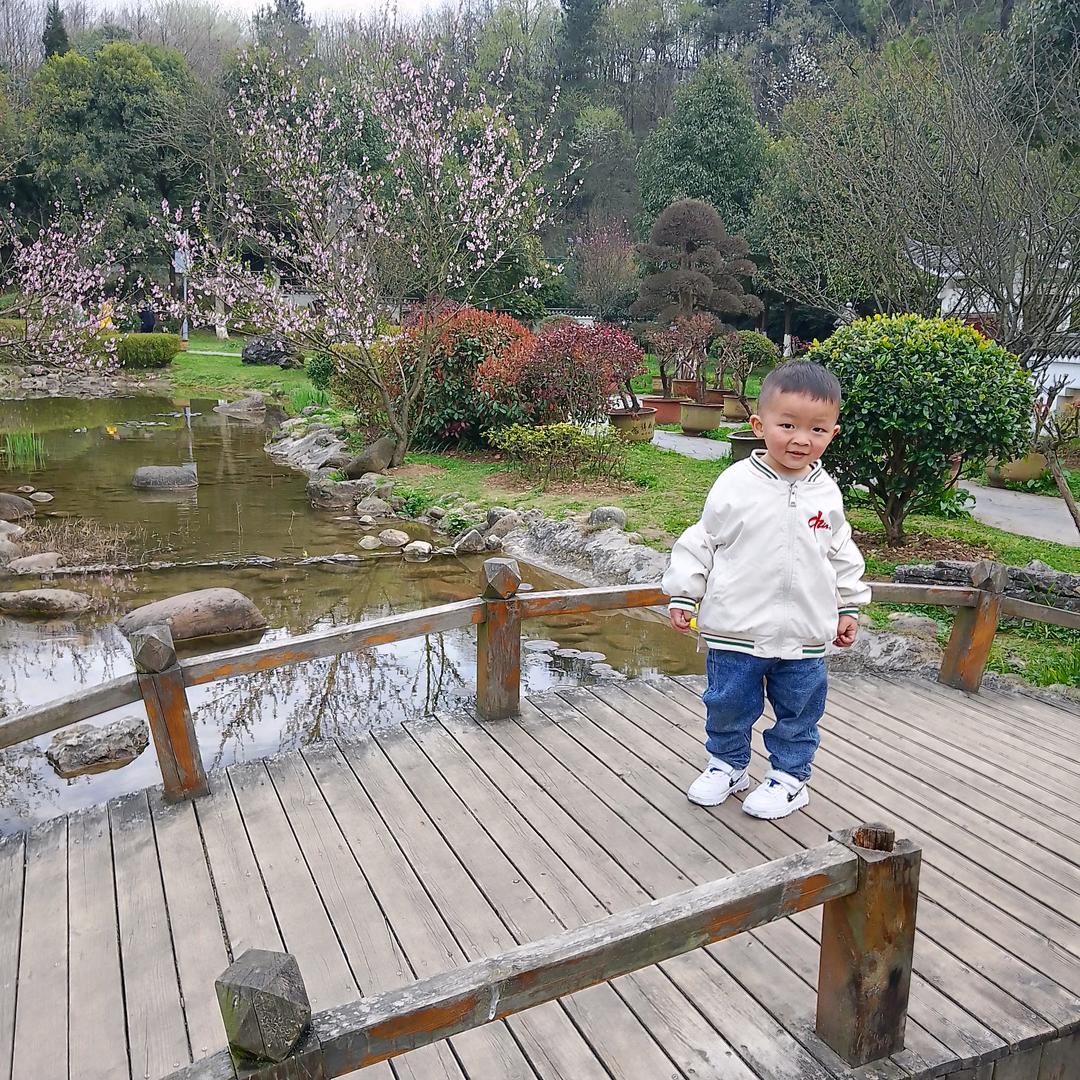 小橙子