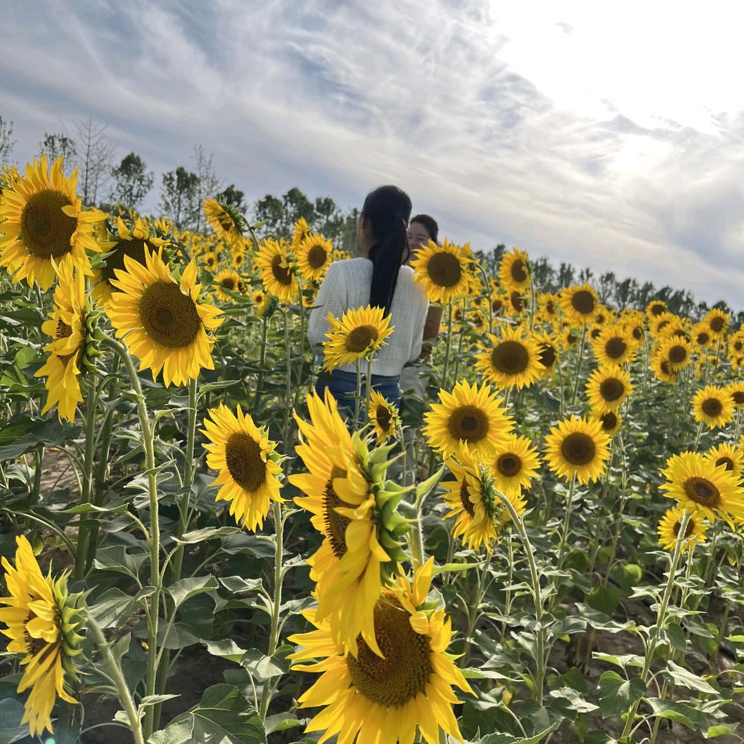 💞🕊余生᭄ꦿ꯭随心💞：💞