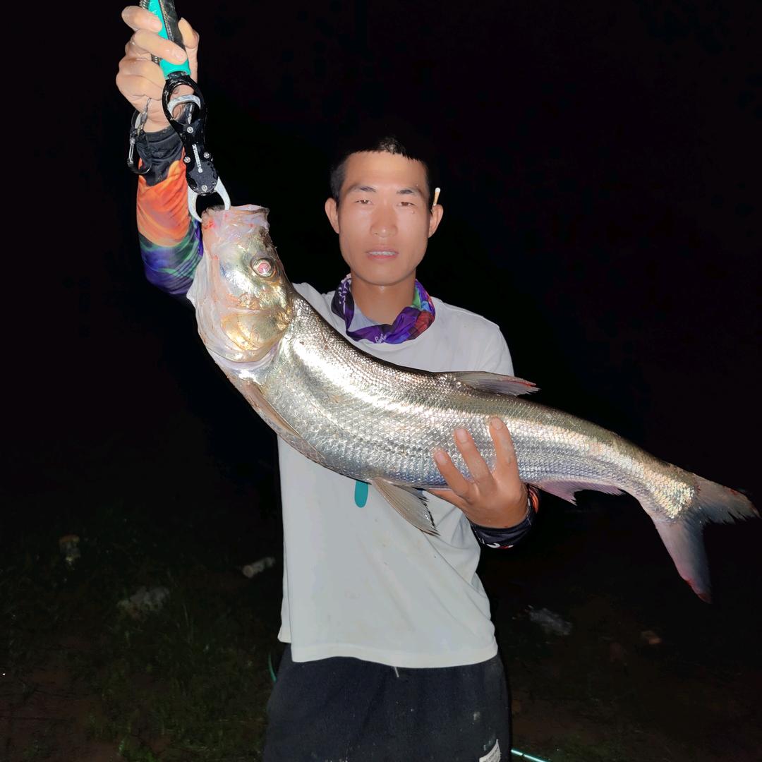 小申钓鱼