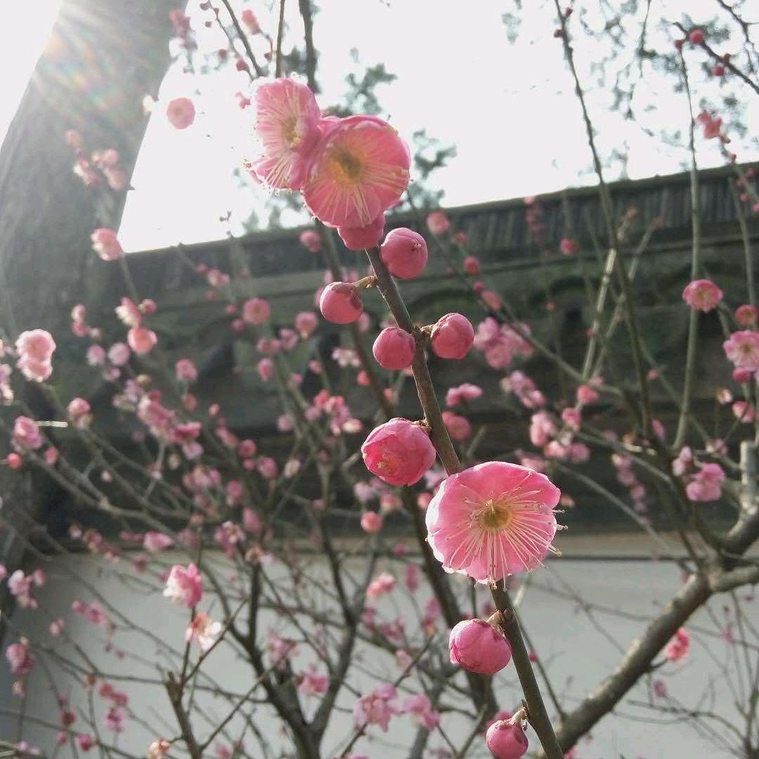 平安