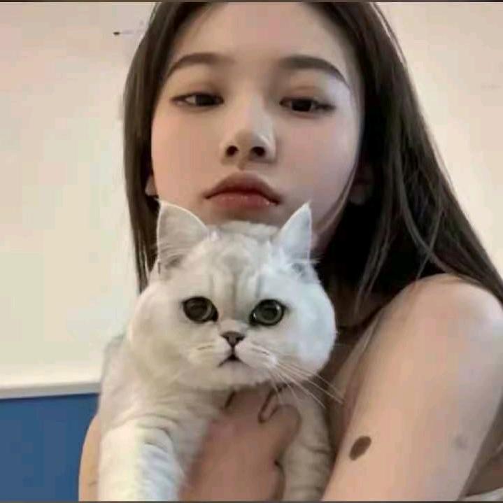 壹