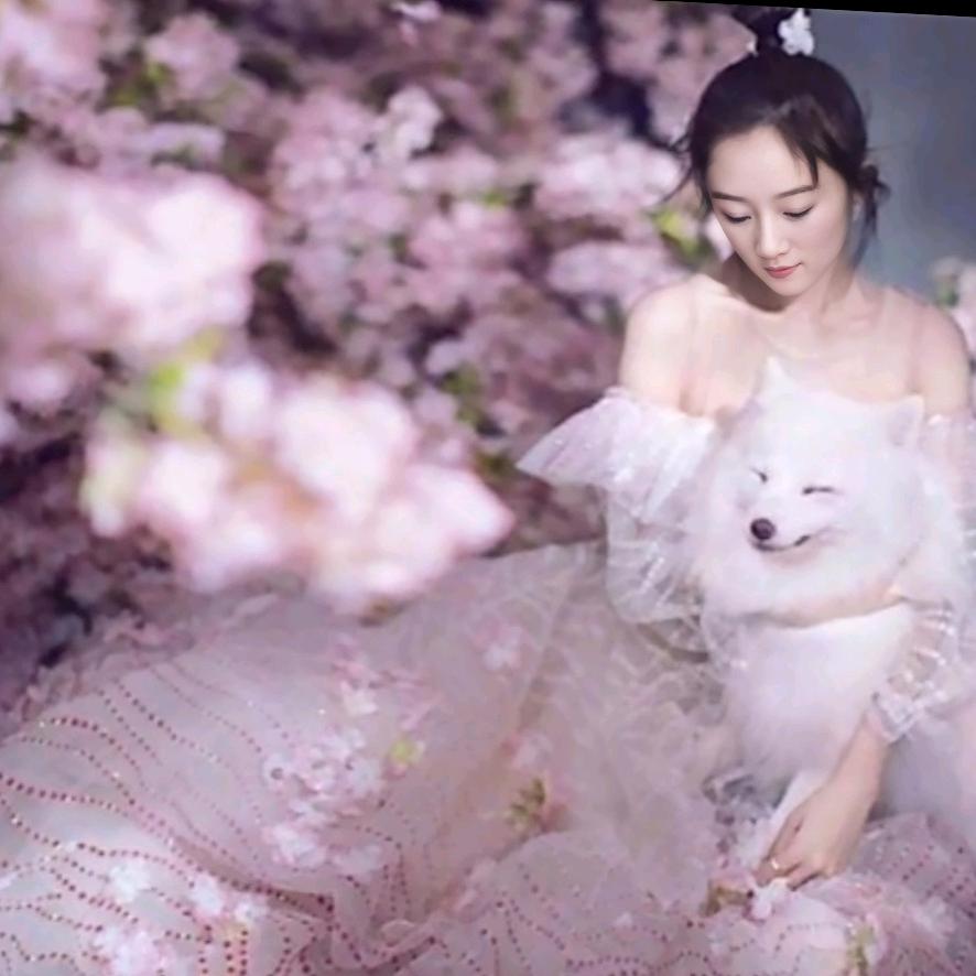桃林小仙🌸