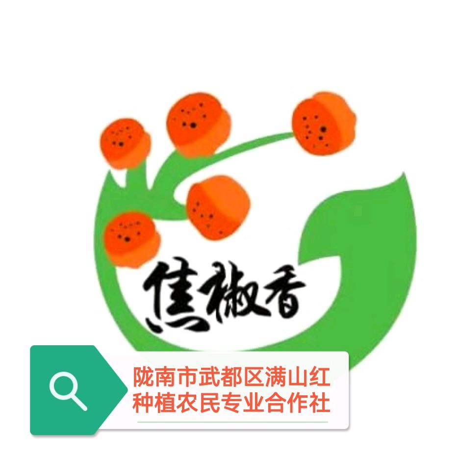 陇上满山红农品精选