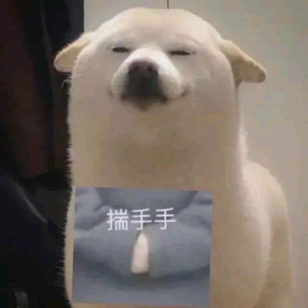 O泡