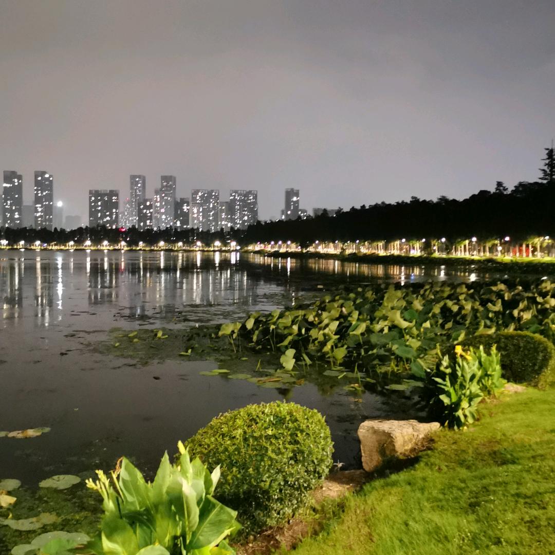 小楼一夜雨飘飘