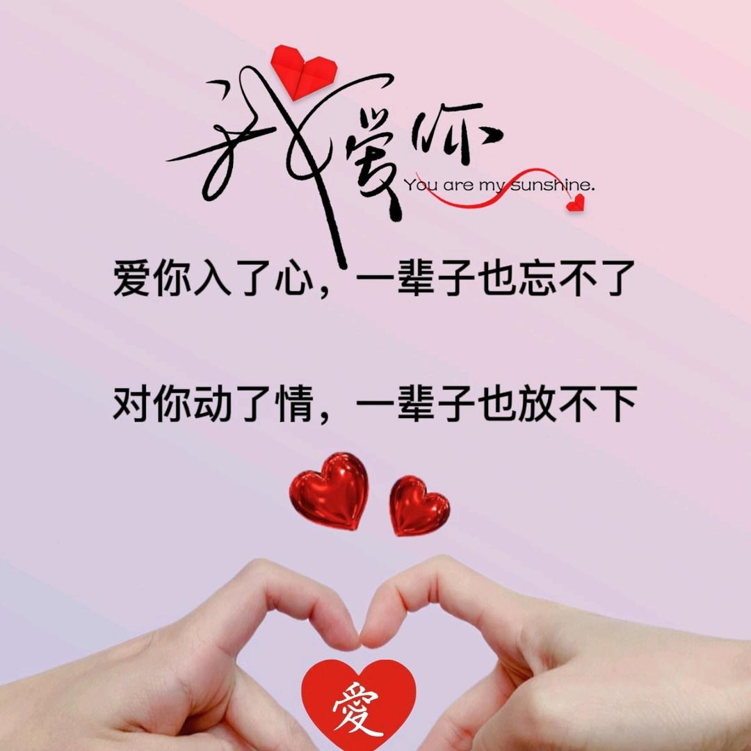 🌊一生守护🌊